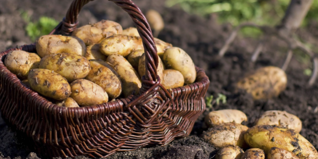 Screenshot 2025-02-20 135018