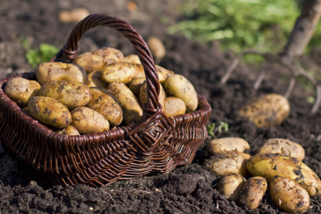 Screenshot 2025-02-20 135018